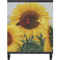 Transparent Holographic LED Film LED Poster Display P3.91 2x2 Meters Display Area