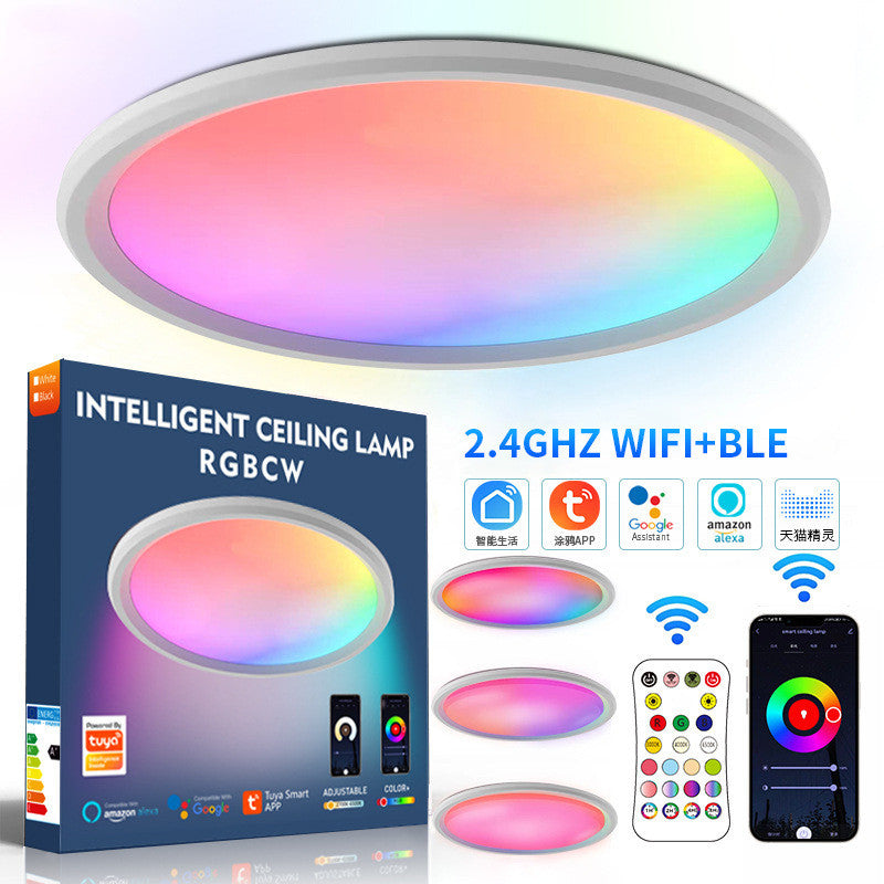 Pack 24W 12'' Smart RGBCW Ceiling Light Fixtures RGB Color Changing, –  LEDLightsWorld