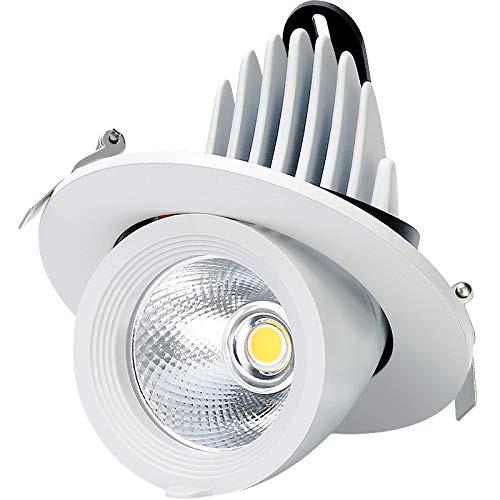 10W / 18W / 24W Home Design Roof Recessed Mounting Fixture Downlights –  LEDLightsWorld