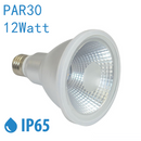 Outdoor PAR30 LED Light Bulb 12W 800Lumen (80W Equivalent) 120-degree Flood Beam E27/E26 Non-Dimmable Waterproof IP65 Par Light