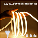 32.8Feet 110V AC / 220V AC Spotless FCOB LED Flexible Strip Light, IP65 Waterproof High Brightness with Inline Switch