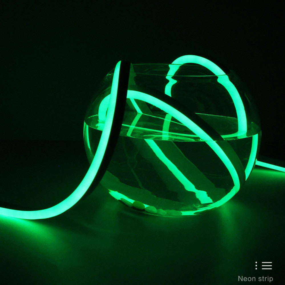 65.6FT (20Meters) LED Neon Rope Lights RGB Color with Remote Controller 8x16(mm) 8Watt 120LEDs/M Flexibl 110V/220V AC Rope Lights Waterproof, Custom Cuttable Neon Lighting for In&Outdoor