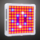 300W AC85-265V 1000LM Full spectrum led grow light with cooler fan for indoor hydroponic plant