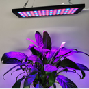 Black Oblong 40W AC85~265V LED Grow Light for Indoor Plant, Full Spectrum Panel Grow Light with IR UV, Indoor Plant Growing Lamp for Succulents, Veg and Flowering/Greenhouse Hydroponic