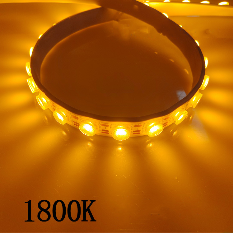 LED Wall Washer Flexible Strip Light  5Meters (16.4ft) SMD3030-42LEDS 18W 1800LM Per Meter DC24V Multi Color Temperature Available Non-waterproof LED Tape Light