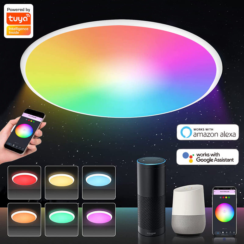 2 Pack 24W 12'' Smart RGBCW Ceiling Light Fixtures RGB Color Changing, 2700K-6500K Adjustable with Dimmable Brightness, Compatible with Alexa/Google Home/APP Control WiFi Light for Bedroom/Kid's Room/Party