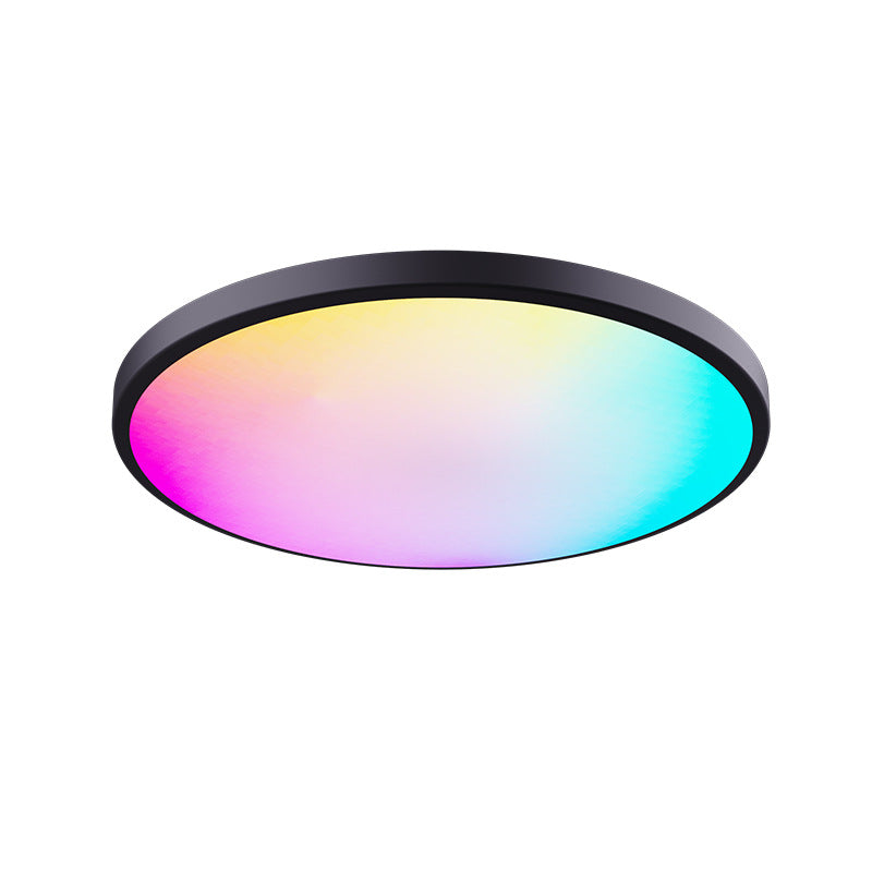 2 Pack 24W 12'' Smart RGBCW Ceiling Light Fixtures RGB Color Changing, 2700K-6500K Adjustable with Dimmable Brightness, Compatible with Alexa/Google Home/APP Control WiFi Light for Bedroom/Kid's Room/Party