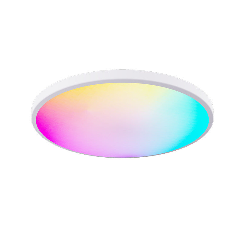 2 Pack 24W 12'' Smart RGBCW Ceiling Light Fixtures RGB Color Changing, 2700K-6500K Adjustable with Dimmable Brightness, Compatible with Alexa/Google Home/APP Control WiFi Light for Bedroom/Kid's Room/Party