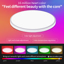 2 Pack 24W 12'' Smart RGBCW Ceiling Light Fixtures RGB Color Changing, 2700K-6500K Adjustable with Dimmable Brightness, Compatible with Alexa/Google Home/APP Control WiFi Light for Bedroom/Kid's Room/Party