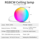 2 Pack 24W 12'' Smart RGBCW Ceiling Light Fixtures RGB Color Changing, 2700K-6500K Adjustable with Dimmable Brightness, Compatible with Alexa/Google Home/APP Control WiFi Light for Bedroom/Kid's Room/Party