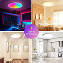 2 Pack 24W 12'' Smart RGBCW Ceiling Light Fixtures RGB Color Changing, 2700K-6500K Adjustable with Dimmable Brightness, Compatible with Alexa/Google Home/APP Control WiFi Light for Bedroom/Kid's Room/Party