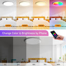 2 Pack 24W 12'' Smart RGBCW Ceiling Light Fixtures RGB Color Changing, 2700K-6500K Adjustable with Dimmable Brightness, Compatible with Alexa/Google Home/APP Control WiFi Light for Bedroom/Kid's Room/Party