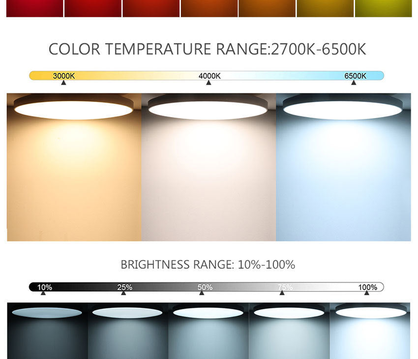 2 Pack 24W 12'' Smart RGBCW Ceiling Light Fixtures RGB Color Changing, 2700K-6500K Adjustable with Dimmable Brightness, Compatible with Alexa/Google Home/APP Control WiFi Light for Bedroom/Kid's Room/Party
