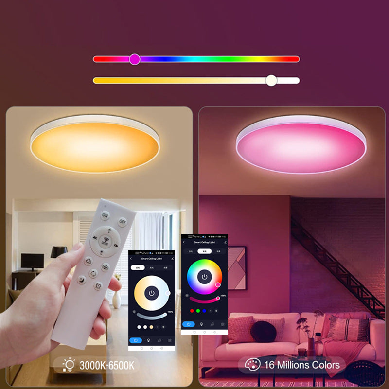 2 Pack 24W 12'' Smart RGBCW Ceiling Light Fixtures RGB Color Changing, 2700K-6500K Adjustable with Dimmable Brightness, Compatible with Alexa/Google Home/APP Control WiFi Light for Bedroom/Kid's Room/Party