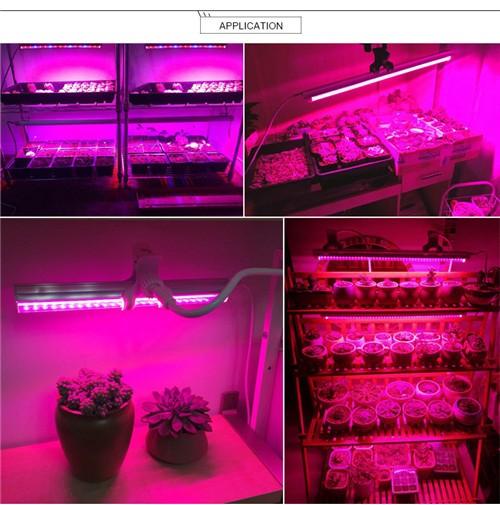 10Pcs 1/2/3/4 Ft LED Tube T5 Grow Light Red/Blue Spectrum(R:B=5:1) Clear Lens for Indoor Plant Veg and Flower Hydroponic Greenhouse Growing Bar Light