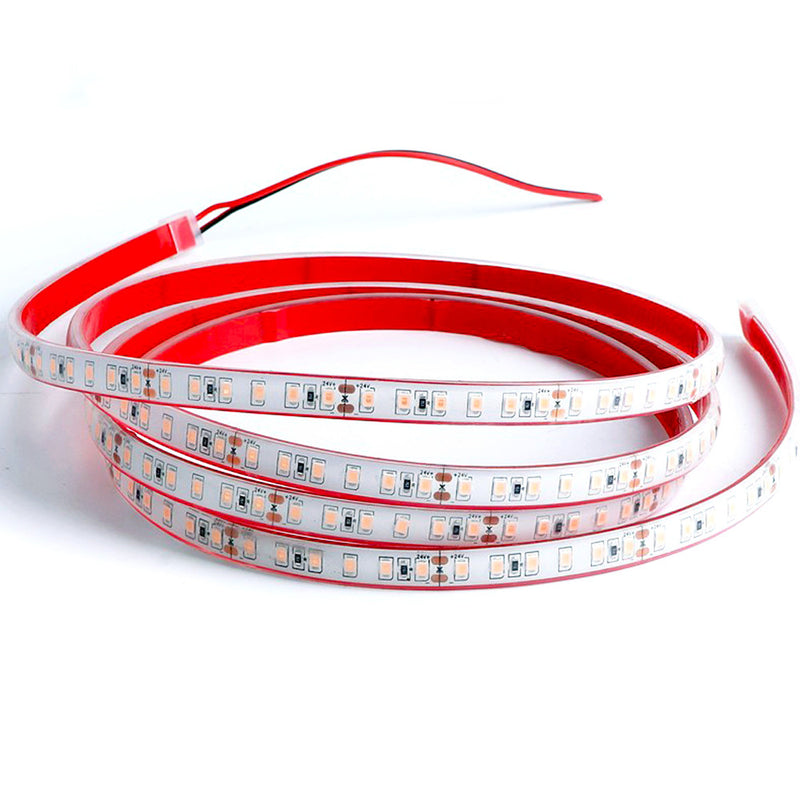 Free Shipping 328FT (100Meters) Roll IP68 Waterproof SMD2835 LED Flex Strip 24V with 120LEDs 10Watt per Meter Flexible LED Tape