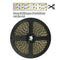 12V Dimmable SMD3528-1200 Double Row Flexible LED Strips 240 LEDs 1200lm Per Meter 15mm Width