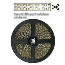 12V Red/Blue/Green/Yellow Dimmable LED Strip Light 15mm Double Row SMD3528-1200 1200LM 240 LEDs/Mtr