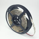 12V Dimmable SMD3528-1200 Double Row Flexible LED Strips 240 LEDs 1200lm Per Meter 15mm Width