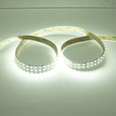 12V Dimmable SMD3528-1200 Double Row Flexible LED Strips 240 LEDs 1200lm Per Meter 15mm Width