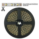 12V Dimmable SMD3528-300 Flexible LED Strips 60 LEDs Per Meter 8mm Width 300lm Per Meter