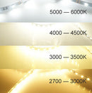 12V Dimmable SMD3528-300 Flexible LED Strips 60 LEDs Per Meter 8mm Width 300lm Per Meter