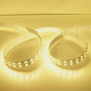 DC 12V Dimmable SMD5050-600 Double Row Flexible LED Strips 120 LEDs Per Meter 15mm Width 1800lm Per Meter