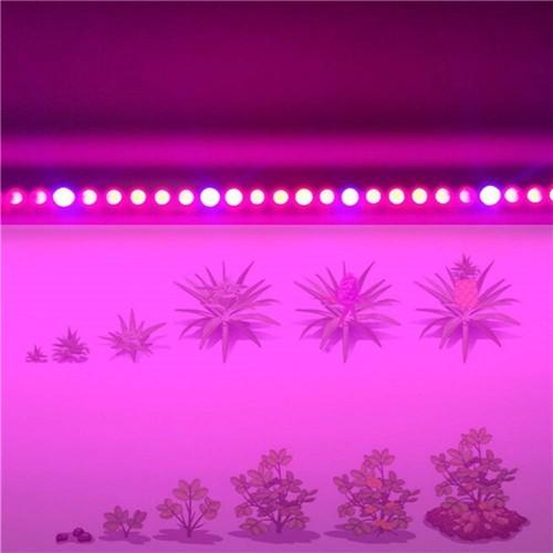 10Pcs 2/3/4 feet LED Tube T8 Grow Light Red/Blue Spectrum (R:B=5:1) Clear Lens for Indoor Plant Veg and Flower Hydroponic Greenhouse Growing Bar Light