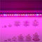 10Pcs 2/3/4 feet LED Tube T8 Grow Light Red/Blue Spectrum (R:B=5:1) Clear Lens for Indoor Plant Veg and Flower Hydroponic Greenhouse Growing Bar Light