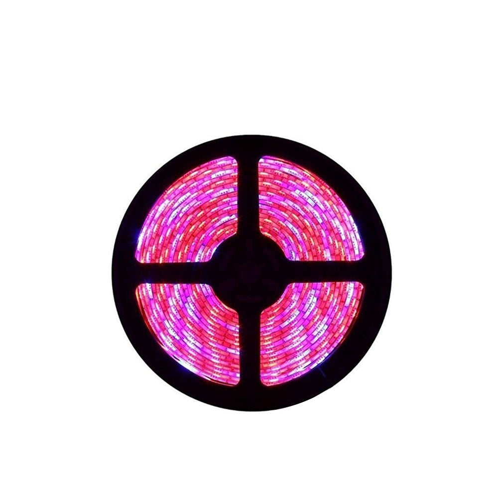 Plant Growth RED:BLUE /660nm:460nm  LED Grow Light  SMD5050 60LEDs 12V 14.4W Per Meter Strip