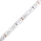 12V Dimmable SMD3528-300 Flexible LED Strips 60 LEDs Per Meter 8mm Width 300lm Per Meter