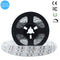 365nm 370nm SMD3528-600 12V 4A 48W UV LED Strip Light Ideal for Curing Currency Validation