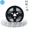 380nm 385nm SMD3528-600 12V 4A 48W UV LED Strip Light for UV Curing, Currency Validation