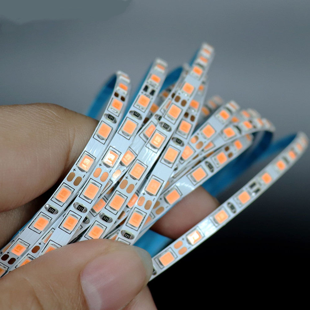 4MM Wide SMD2835-600 120LEDs per Meter Purple-ish Pink 12V 16.4FT (5Meters) Roll LED Strip Non-waterproof