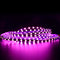 4MM Wide SMD2835-600 120LEDs per Meter Purple-ish Pink 12V 16.4FT (5Meters) Roll LED Strip Non-waterproof