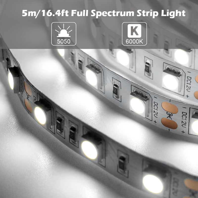 16.4FT 5Meter SMD5050 300LED 12V 60W True Color CRI95+ Full Spectrum Natural Light LED Strip Light