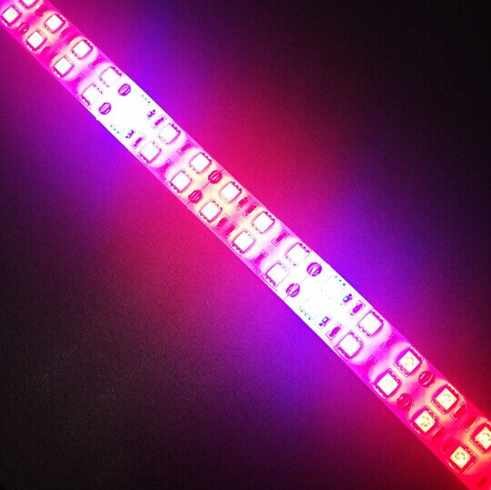 Plant Growth RED:BLUE /660nm:460nm  LED Grow Light  SMD5050 120LEDs 12V 28.8W Per Meter 15mm Width  Strip