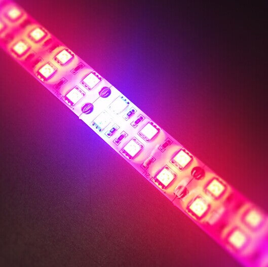 Plant Growth RED:BLUE /660nm:460nm  LED Grow Light  SMD5050 120LEDs 12V 28.8W Per Meter 15mm Width  Strip