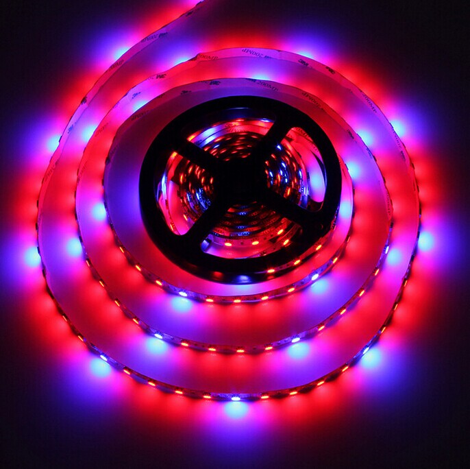 Plant Growth RED:BLUE /660nm:460nm  LED Grow Light  SMD5050 60LEDs 12V 14.4W Per Meter Strip