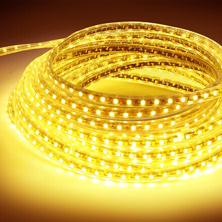 AC 110V 220V SMD5050 High Voltage Flat Strip Light 60 LEDs Per Meter 12mm Width with Wall Outlet Power Plug