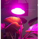 50W IP65 Full Spectrum Purple LED Grow Light Suspending Panel Light for Hydroponic and Medical Plant Cultivation