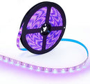 60W UV Black Light LED Strip, 16.4FT/5M 2835 300LEDs 365nm LED Tape for Curing