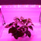 80W 40'' Full Spectrum Linear LED Grow Light Strip 6 Bands with IR & UV included, Adjustable Hanger, Idea for Greenhouse, Vegetables & Fruits, Horticulture, Propagation and City Farming