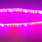 10Pcs 2/3/4 feet LED Tube T8 Grow Light Red/Blue Spectrum (R:B=5:1) Clear Lens for Indoor Plant Veg and Flower Hydroponic Greenhouse Growing Bar Light