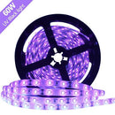 60W UV Black Light LED Strip, 16.4FT/5M 2835 300LEDs 395nm 405nm Night Fishing Party