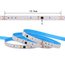 16.4FT (5Meters) 24VDC Chasing LED Light Strip Kit w/ SMD2835 120LEDs 12Watt per Meter Flex LED Tape and Mini Inline Controller