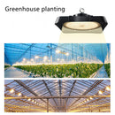 High Power IP65 Full Spectrum LED Grow Flood Lights for Hydroponic and Medical Plant Cultivation