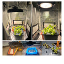 High Power IP65 Full Spectrum LED Grow Flood Lights for Hydroponic and Medical Plant Cultivation
