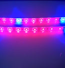 Plant Growth RED:BLUE /660nm:460nm  LED Grow Light  SMD2835 60LEDs  12V 12W Per Meter Strip