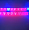 Plant Growth RED:BLUE /660nm:460nm  LED Grow Light  SMD2835 60LEDs  12V 12W Per Meter Strip